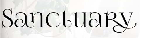 Sanctuary Safe – Fireproof & Waterproof Home Safes for Documents, Money & Valuables